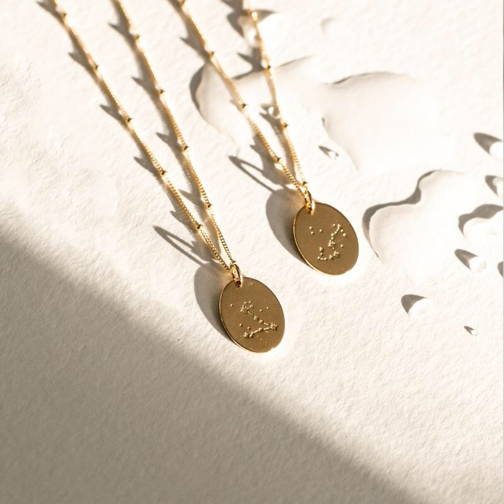 Pisces Bohemian Zodiac Minimalist Charm Necklace - Picture 7 of 13